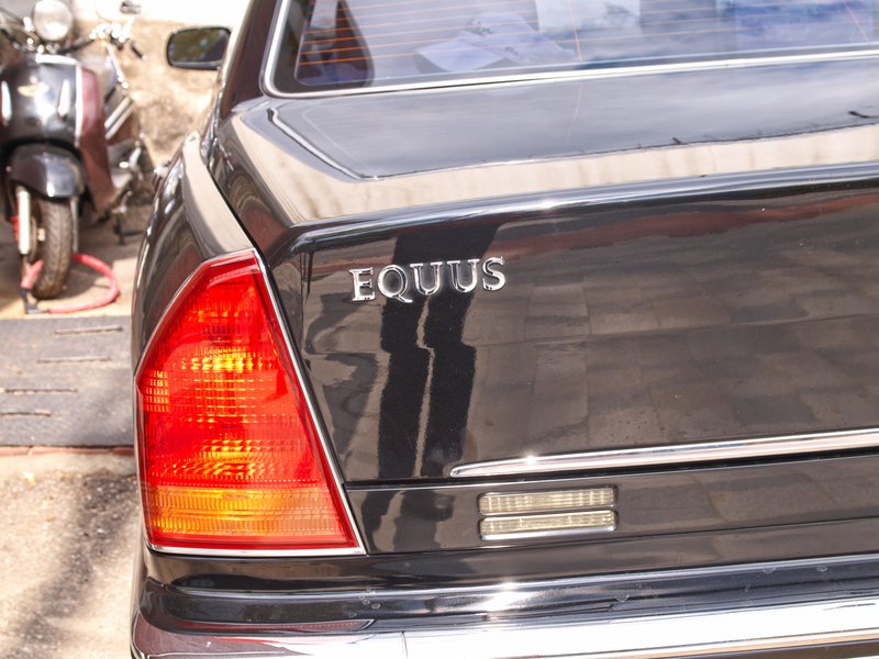Seoul, Equus